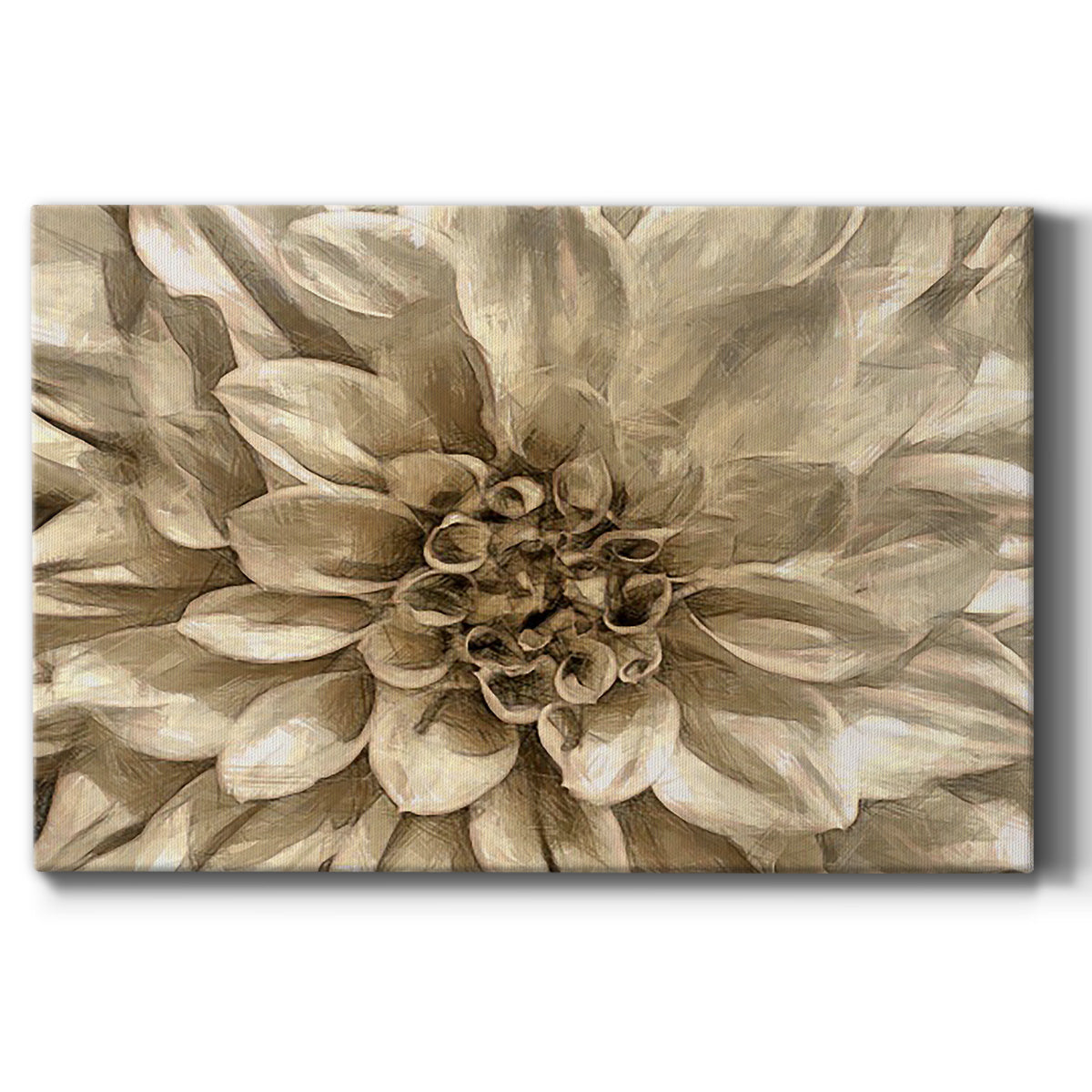 Neutral Wall Flower I - Canvas Art Print