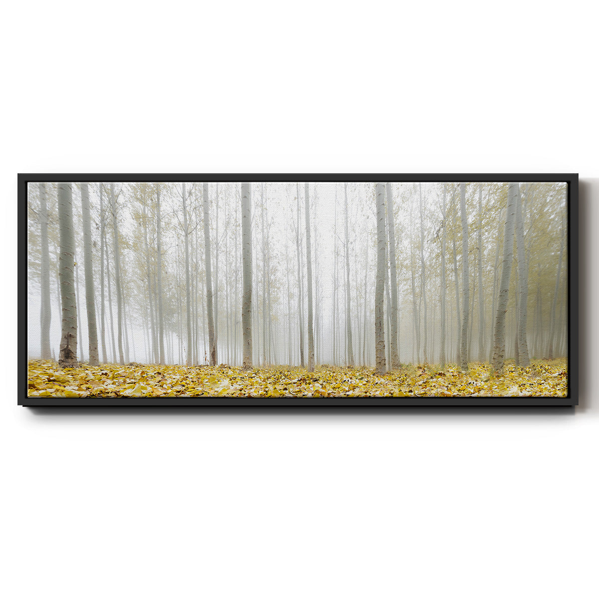 Poplar Grove - Floater Framed Canvas Print