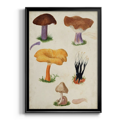 Mushroom Species VII - Modern Framed Canvas Print