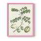 Buchoz Tropicals II - Restickable Framed Art Print