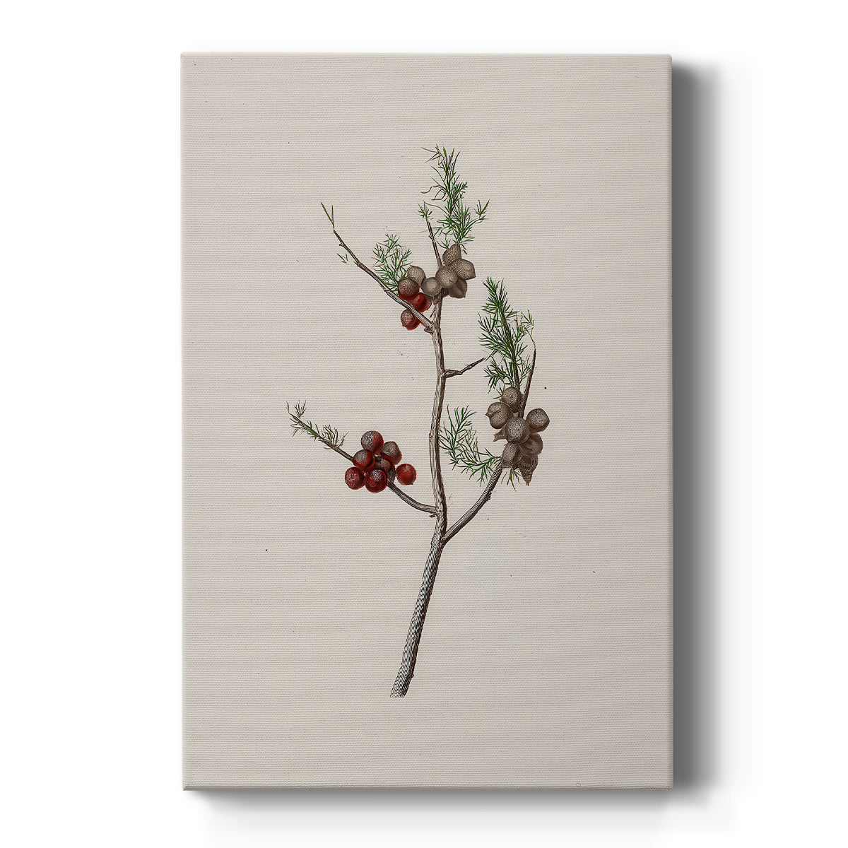 Twilight of Silver Pines - Canvas Art Print