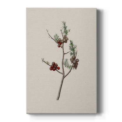Twilight of Silver Pines - Canvas Art Print