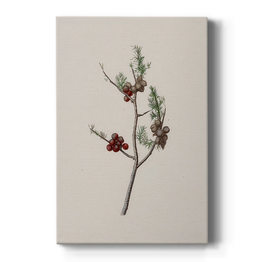 Twilight of Silver Pines - Canvas Art Print