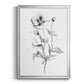 Wild Poppy Sketch - Modern Framed Canvas Print