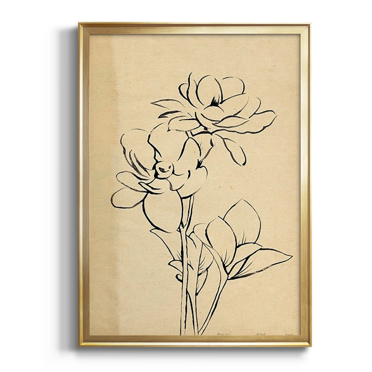 Magnolia Sketch II - Modern Framed Canvas Print