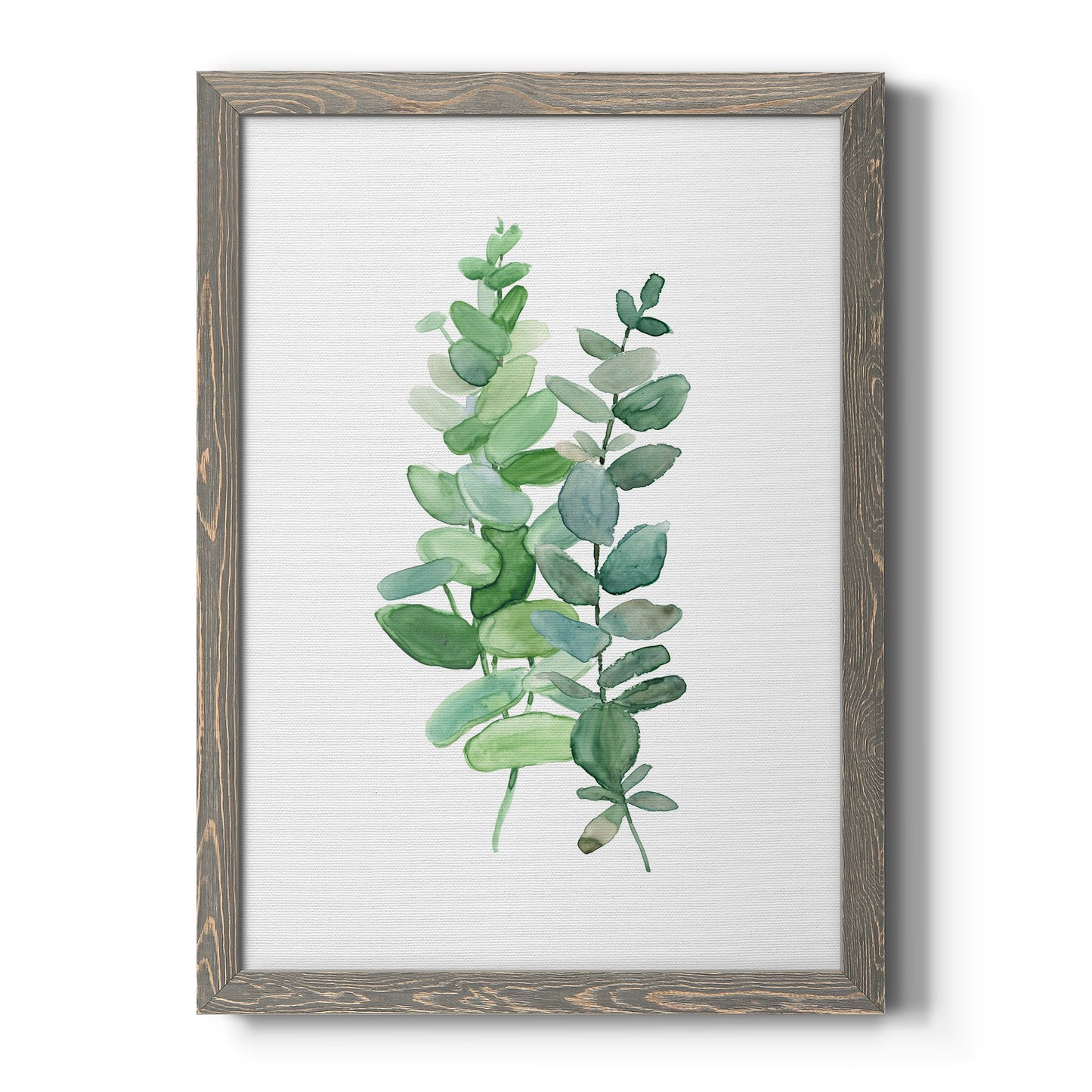 Eucalyptus II - Barnwood Framed Canvas Print