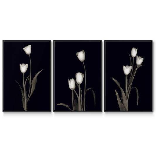 Tulip Pose I - Floater Framed Canvas Set