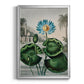 Temple of Flora IX - Modern Framed Canvas Print