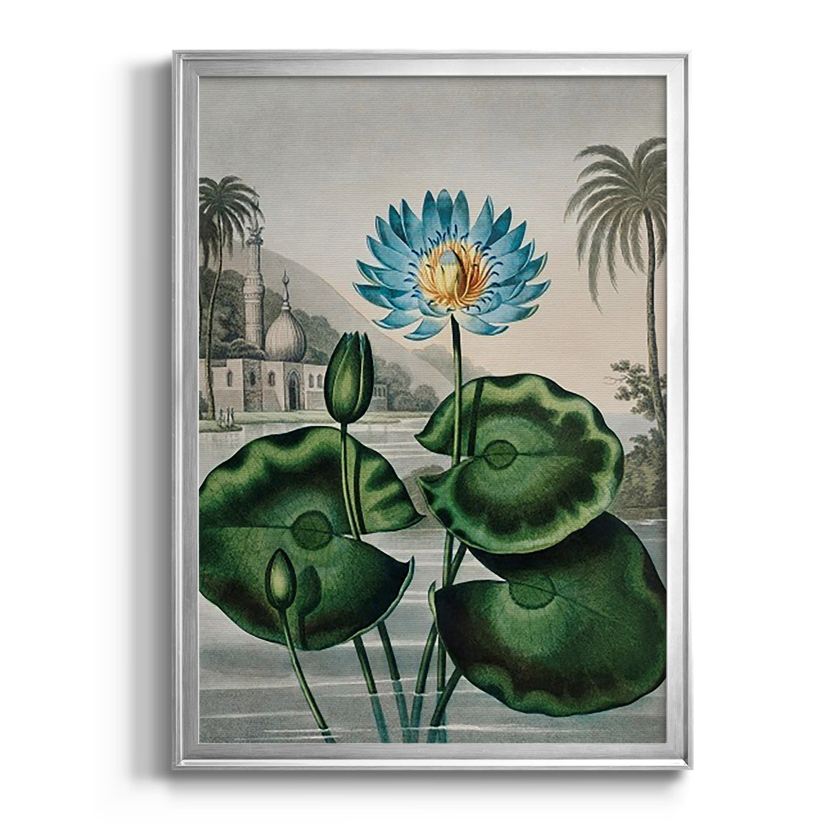 Temple of Flora IX - Modern Framed Canvas Print