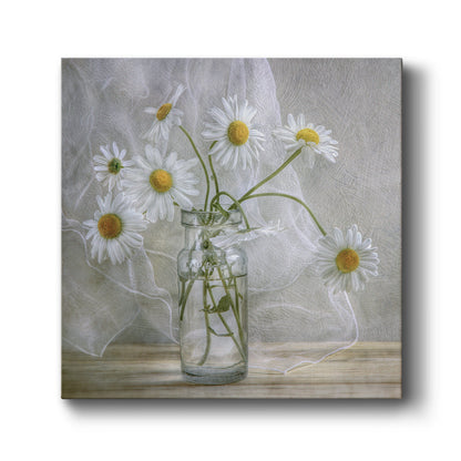 Daisies - Canvas Art Print