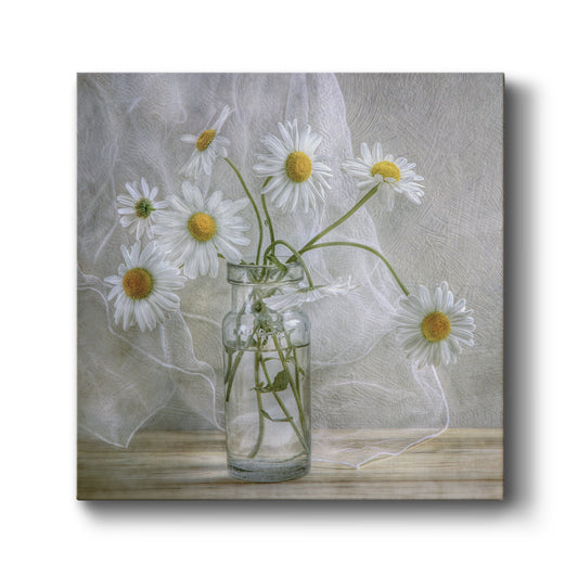 Daisies - Canvas Art Print