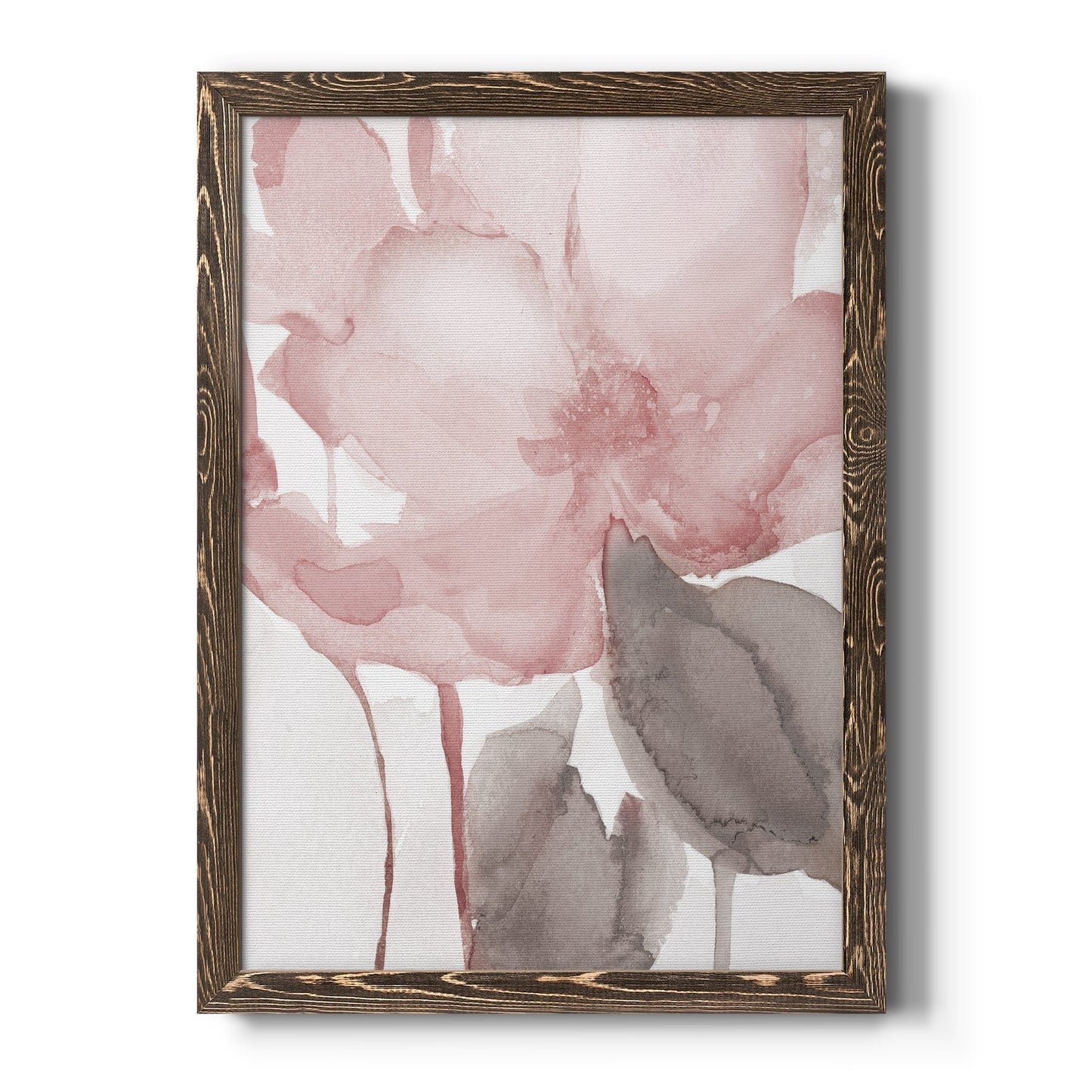 Blush Bloom II - Barnwood Framed Canvas Print