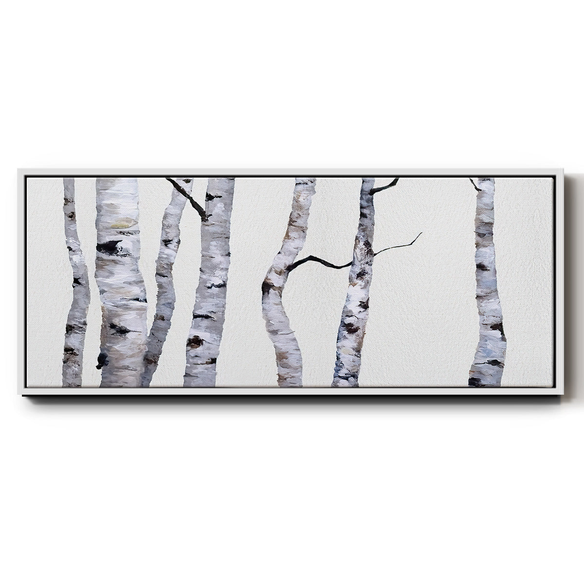 Birch Trees I - Floater Framed Canvas Print