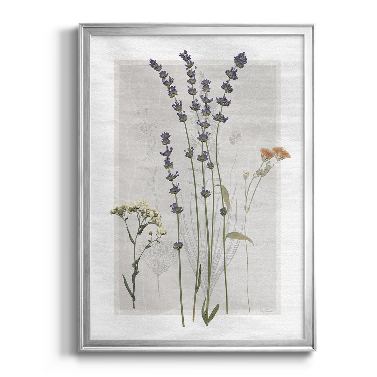 Field Study Page I - Modern Framed Canvas Print