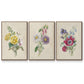 Antique Garden Bouquet I - Framed Premium Gallery Wrapped Canvas L Frame 3 Piece Set - Ready to Hang