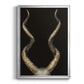 Spiral Antelope Horns -  Framed Canvas Print