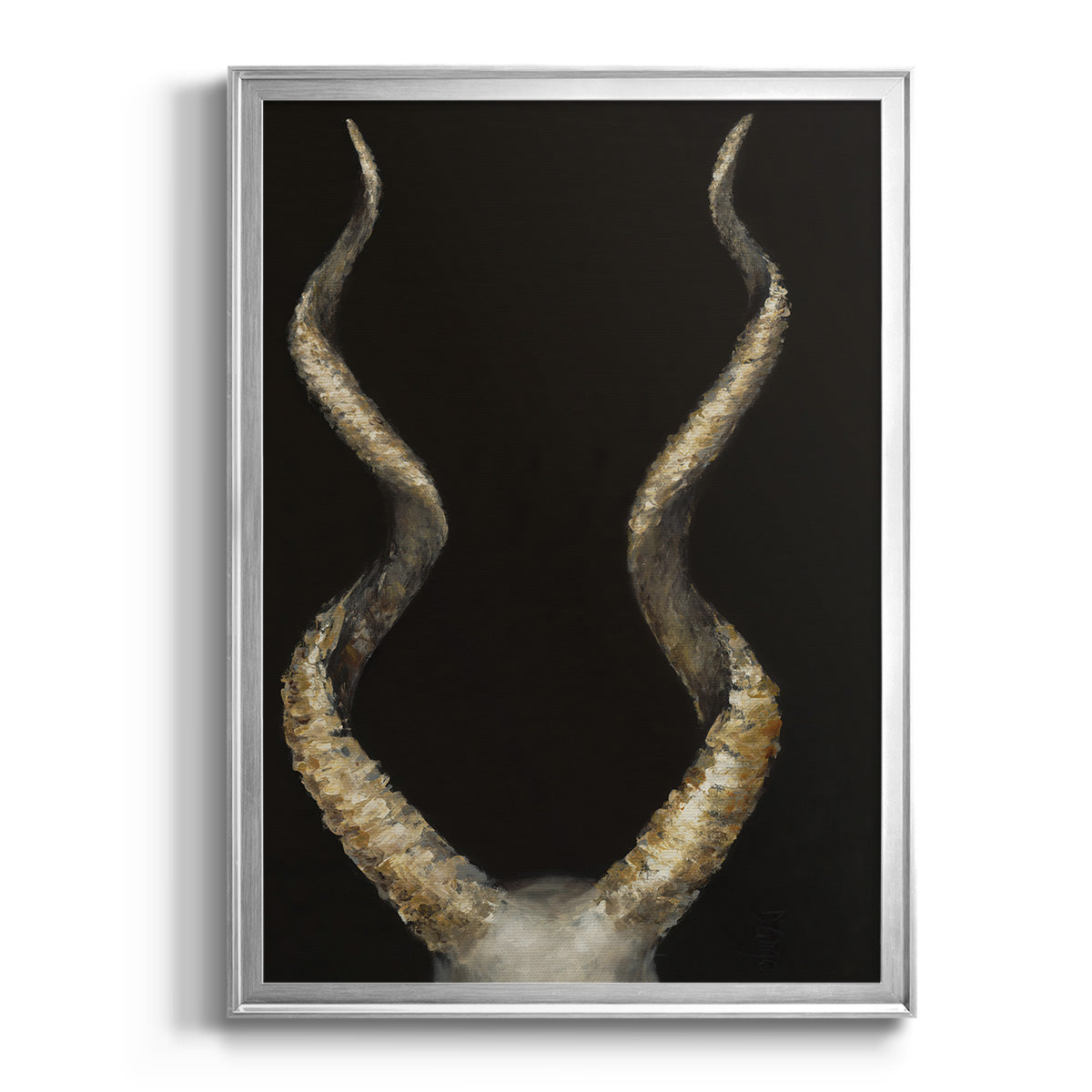 Spiral Antelope Horns -  Framed Canvas Print