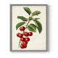 Antique Fruit II - Restickable Framed Art Print
