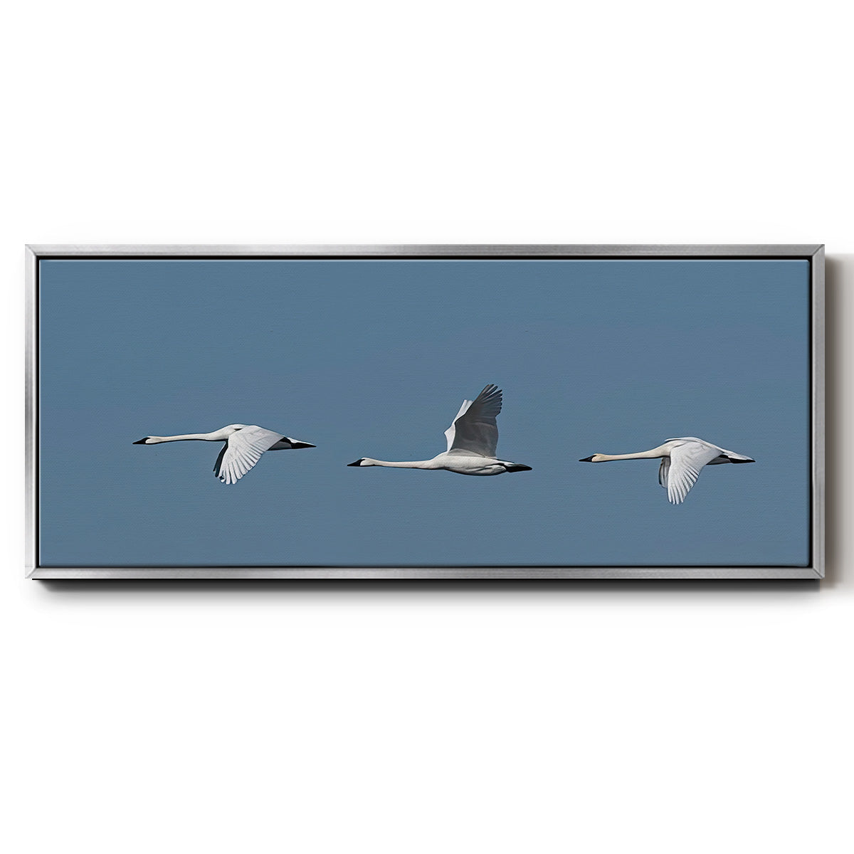 Wing Up Wing down - Floater Framed Canvas Print