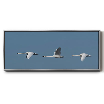 Wing Up Wing down - Floater Framed Canvas Print