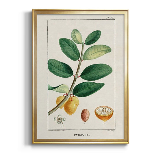 Turpin Tropical Botanicals V - Modern Framed Canvas Print