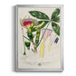 Imperial Tropical Botanical II - Modern Framed Canvas Print