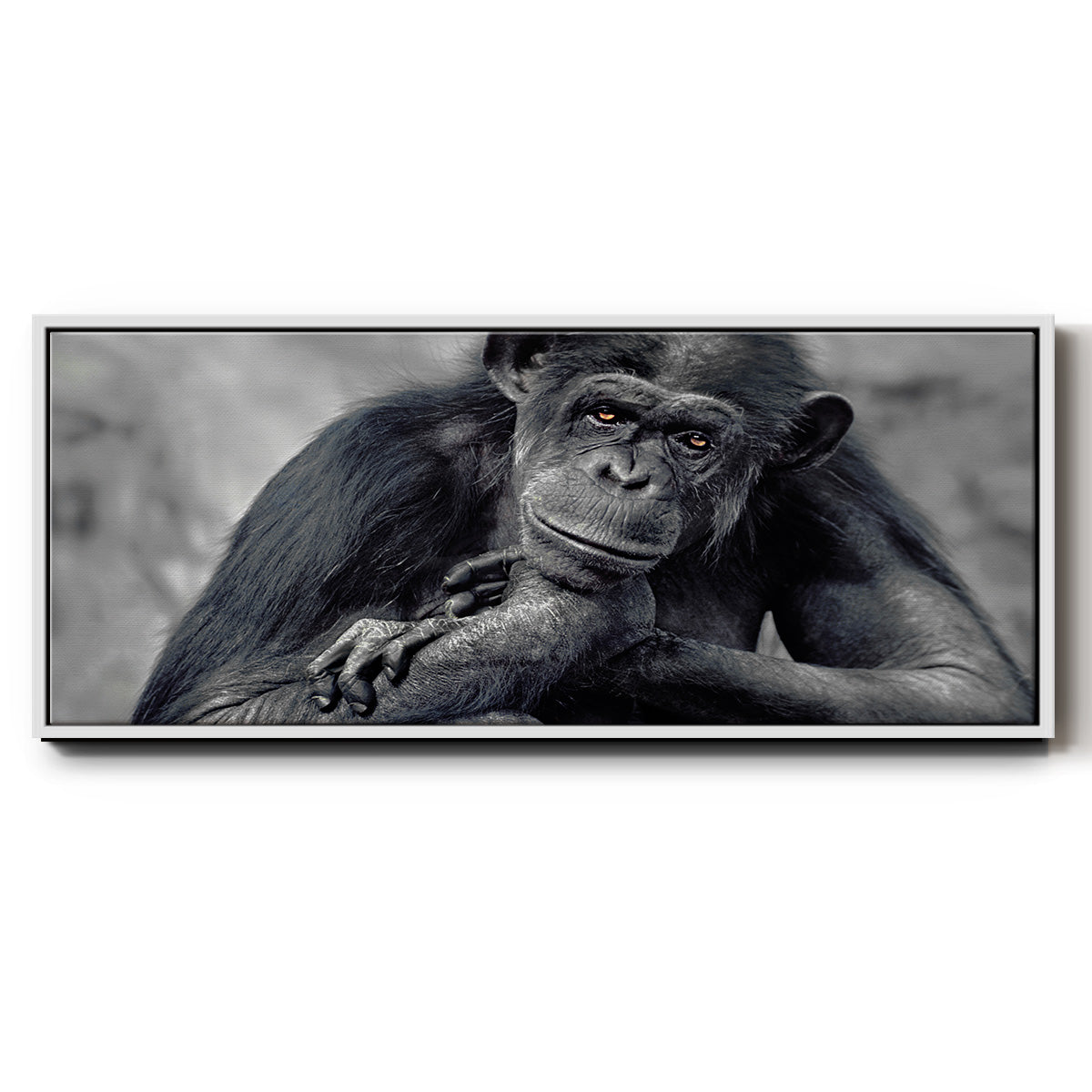 Captivated - Floater Framed Canvas Print