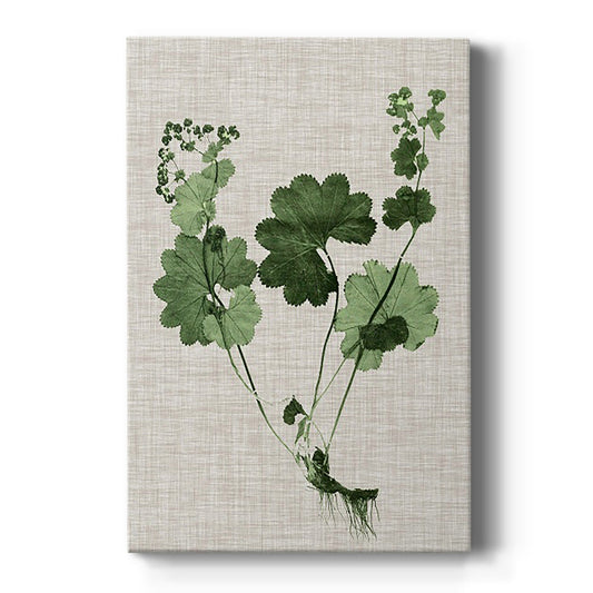 Forest Foliage on Linen I Premium Gallery Wrapped Canvas - Ready to Hang