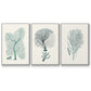 Antique Coastal Coral I - Floater Framed Canvas Set