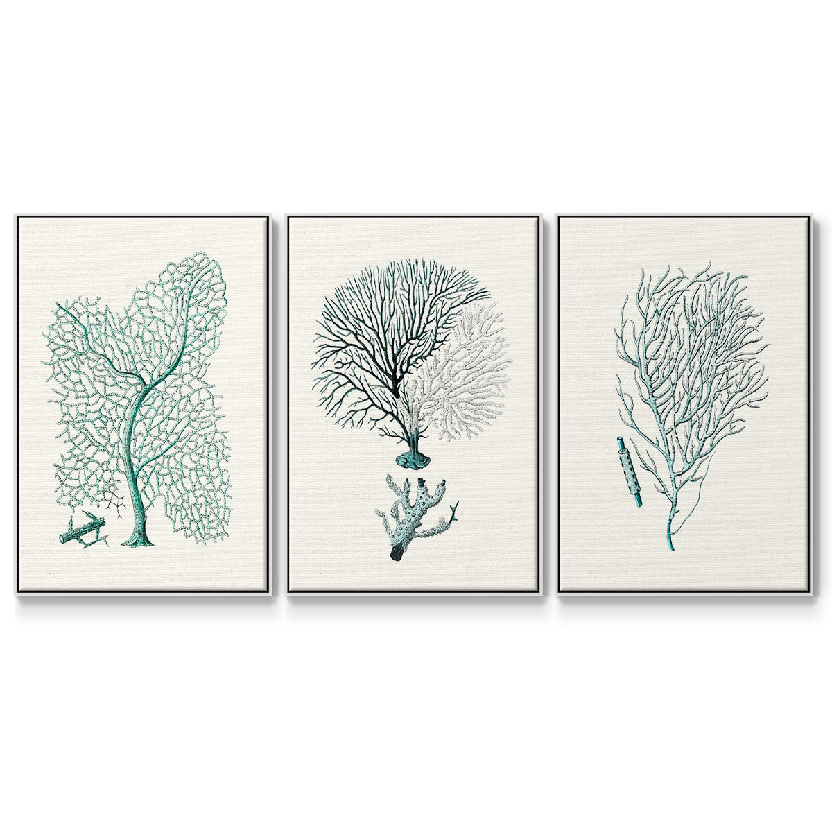 Antique Coastal Coral I - Floater Framed Canvas Set