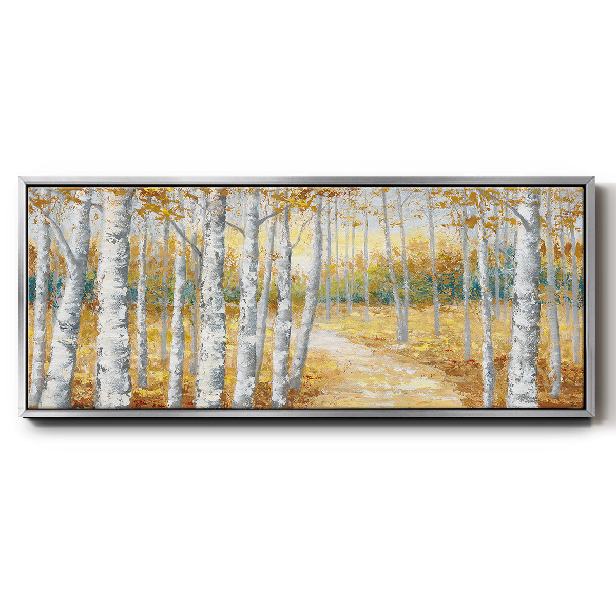 Birch Path I - Floater Framed Canvas Print