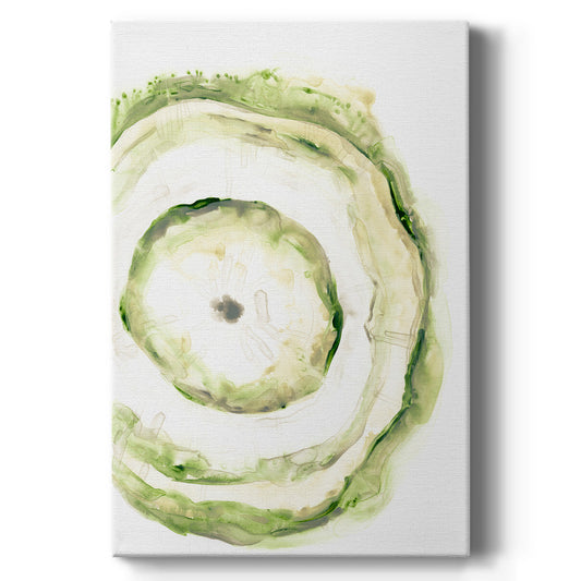 Lichen Halo III - Canvas Art Print