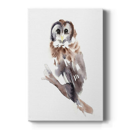 Barred Owl Impressions II - Canvas Art Print