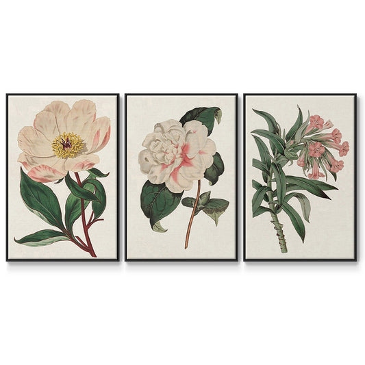 Pink Floral Mix VI - Floater Framed Canvas Set