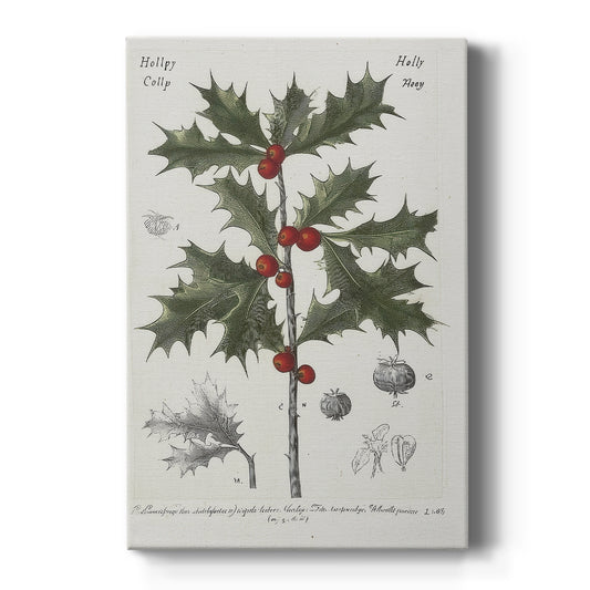 Silver Serenade of Dawn - Canvas Art Print