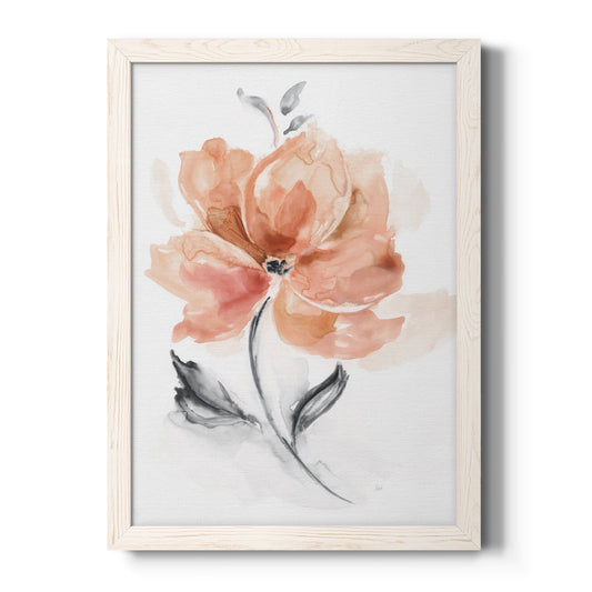 Soft Sensation I - Barnwood Framed Canvas Print