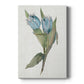 Blue Tulip Picks II Premium Gallery Wrapped Canvas - Ready to Hang