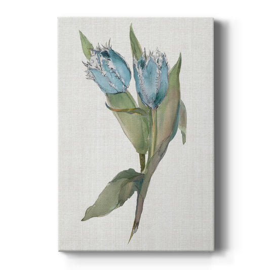 Blue Tulip Picks II - Canvas Art Print