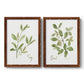 Herb Sage - Premium Framed Canvas 2 Piece Set - Ready to Hang