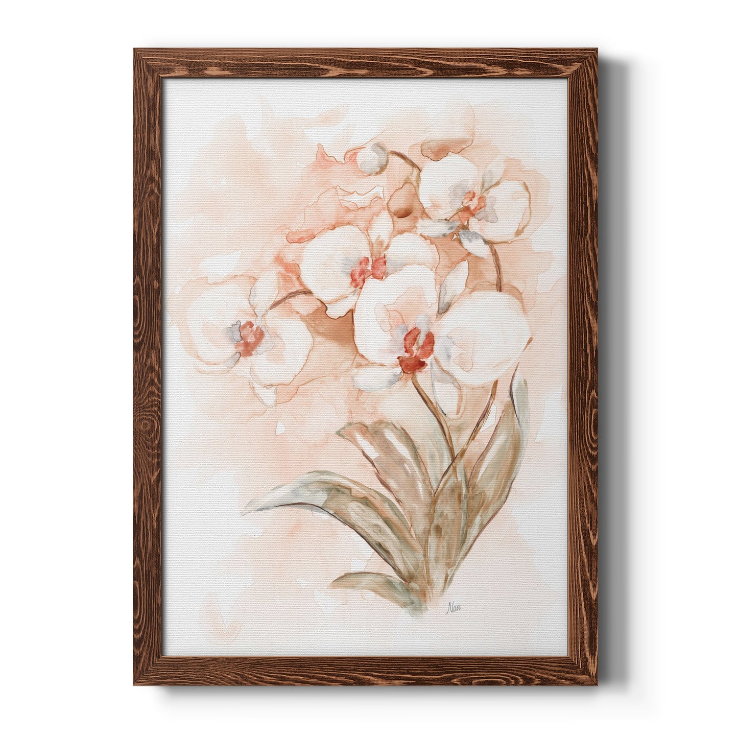 White and Coral Orchid II - Barnwood Framed Canvas Print
