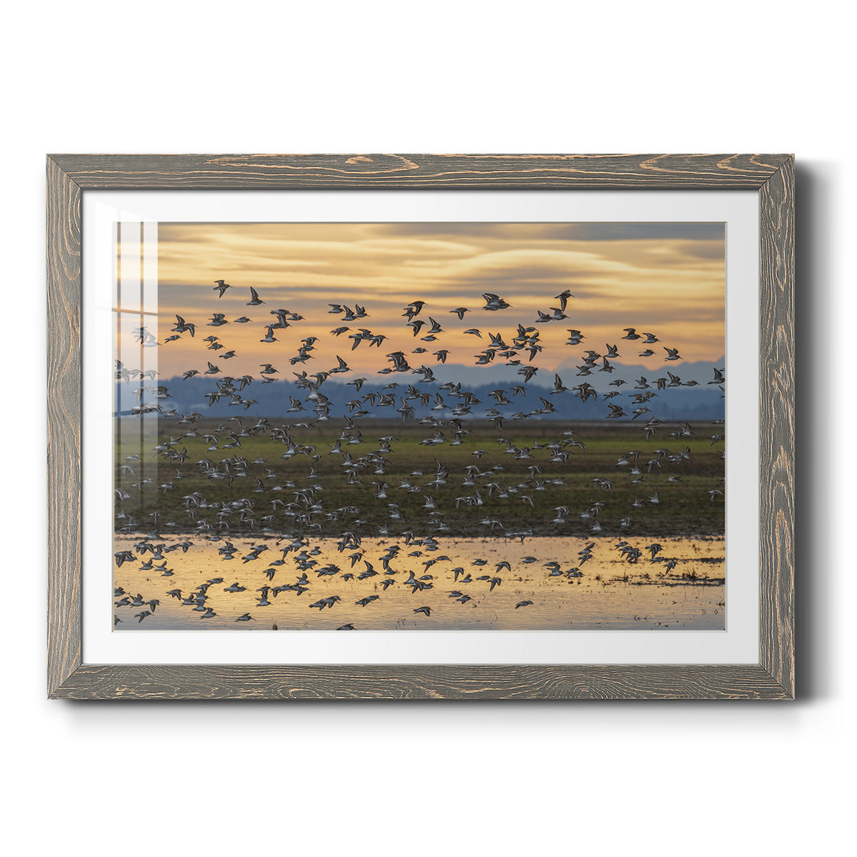 Sunset Flight - Barnwood Framed Art Print