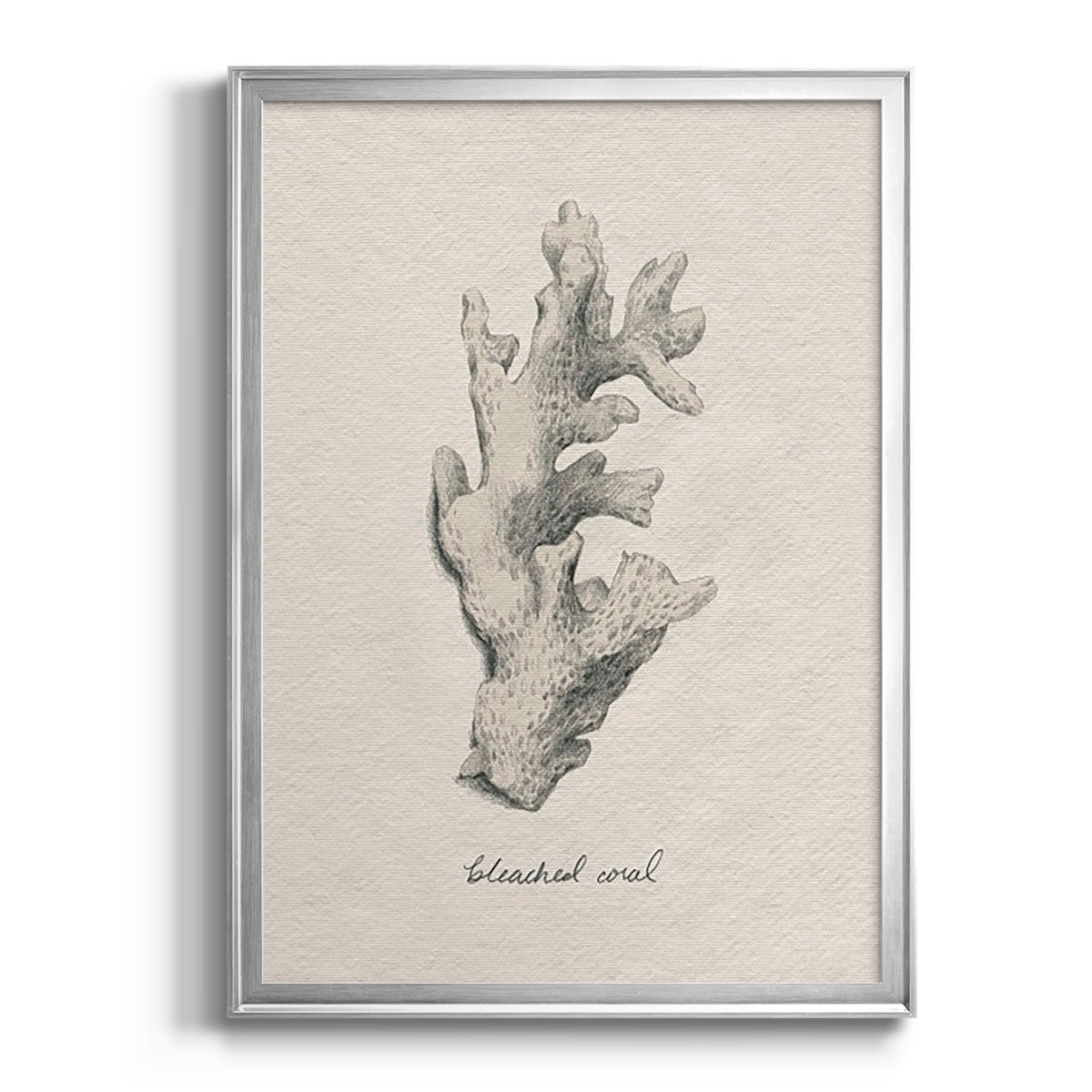 Shore Treasure Study II - Modern Framed Canvas Print