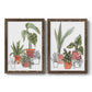 Home Grown I - Barnwood Framed Canvas Set