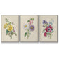 Antique Garden Bouquet I - Framed Premium Gallery Wrapped Canvas L Frame 3 Piece Set - Ready to Hang