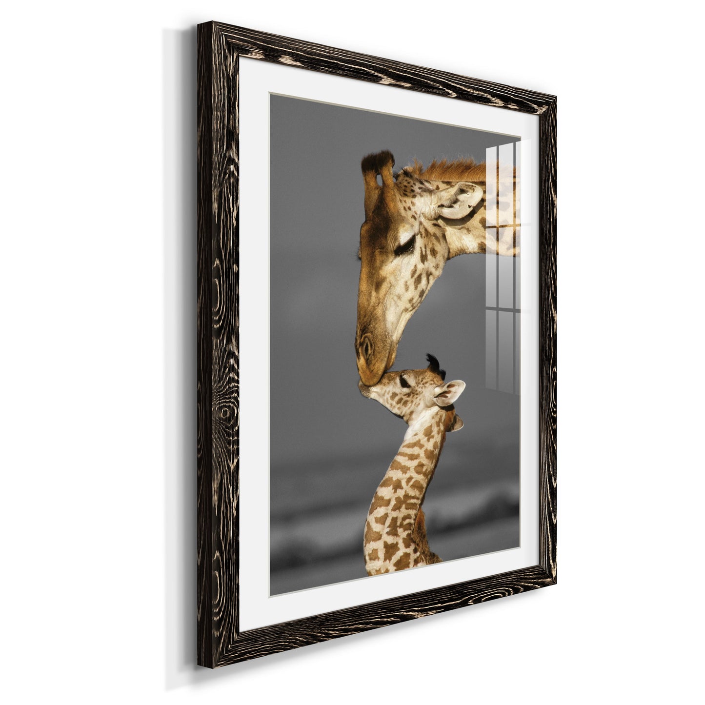 Masai Mara Giraffe Family - Premium Framed Print - Distressed Barnwood Frame - Ready to Hang