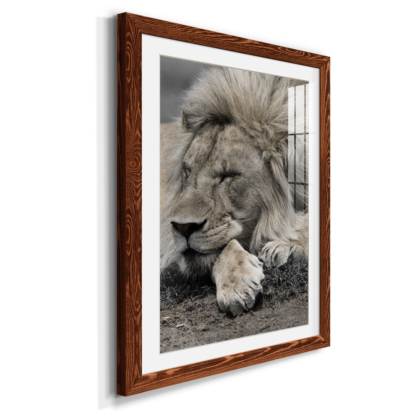 Sleepy Afternoon in Masai Mara - Premium Framed Print - Distressed Barnwood Frame - Ready to Hang