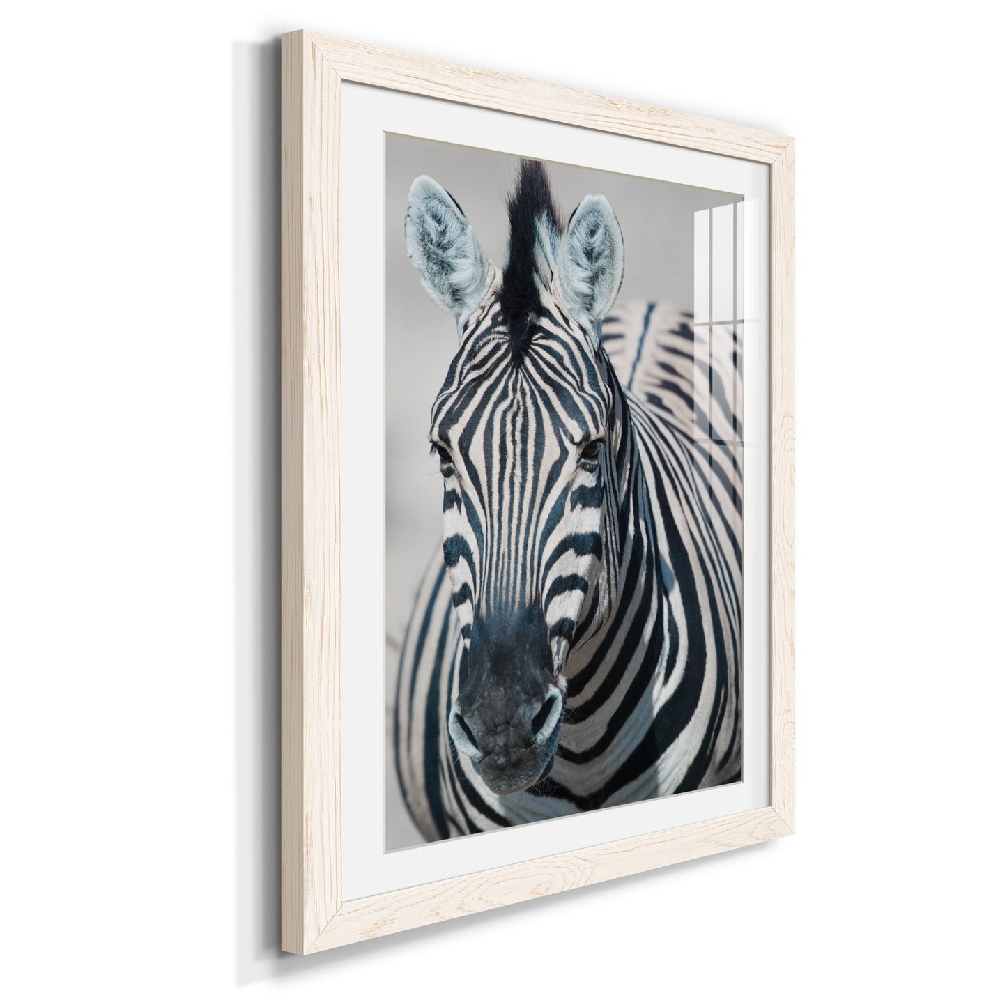 Namibia Zebra - Premium Framed Print - Distressed Barnwood Frame - Ready to Hang