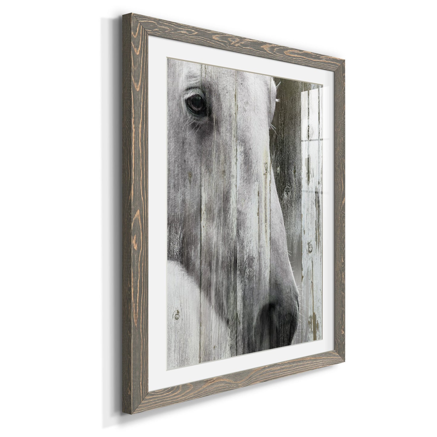 Contemplation - Premium Framed Print - Distressed Barnwood Frame - Ready to Hang