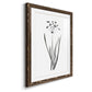 Inky Botanical II - Premium Framed Print - Distressed Barnwood Frame - Ready to Hang