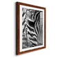 Zebra Colt - Premium Framed Print - Distressed Barnwood Frame - Ready to Hang